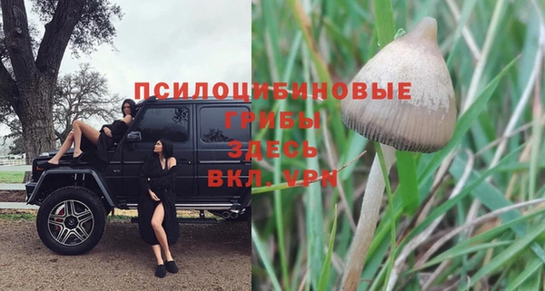 прущая мука Арсеньев
