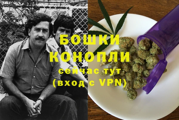 МДПВ Аркадак