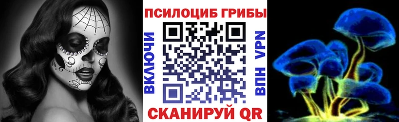 купить  сайты  Рыльск  kraken зеркало  Псилоцибиновые грибы Psilocybine cubensis 